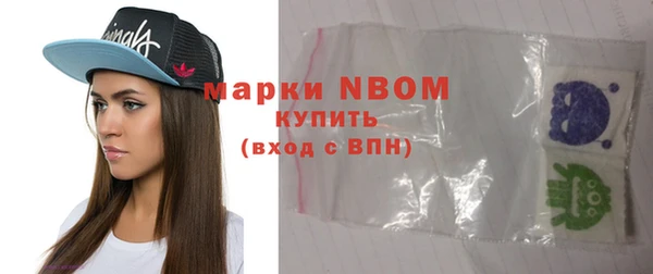 сатива Новокубанск