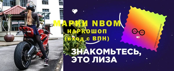сатива Новокубанск