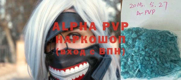 a pvp Новозыбков