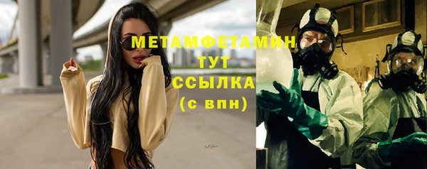 сатива Новокубанск