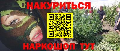 стафф Будённовск