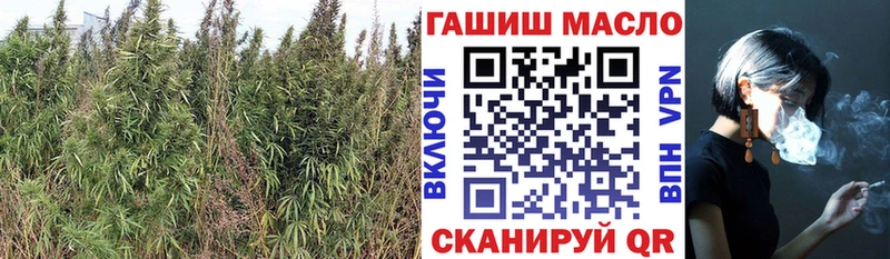 ТГК вейп Заинск