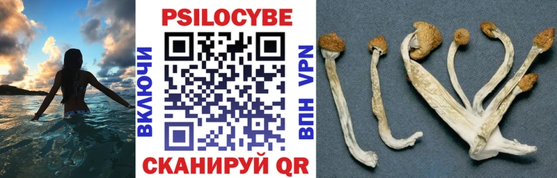 Галлюциногенные грибы прущие грибы Заинск