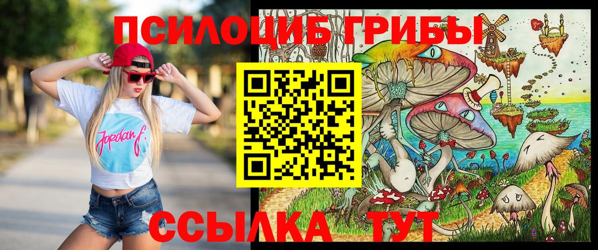 Галлюциногенные грибы прущие грибы Заинск