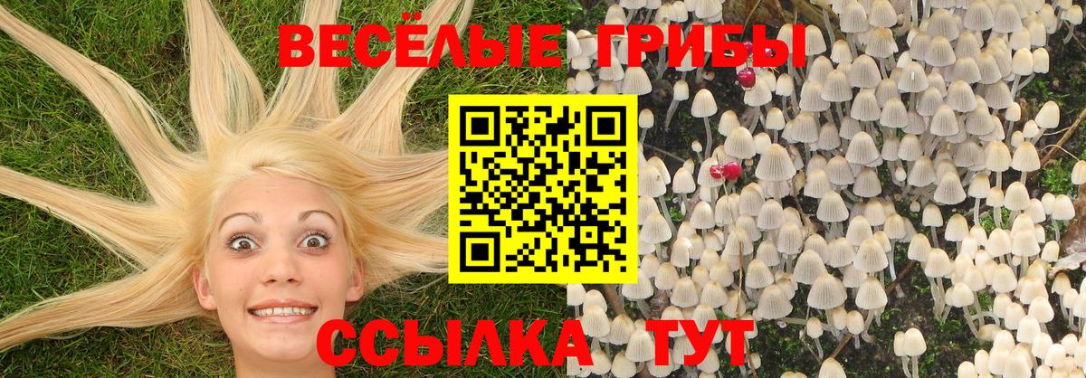 Галлюциногенные грибы GOLDEN TEACHER  Заинск 