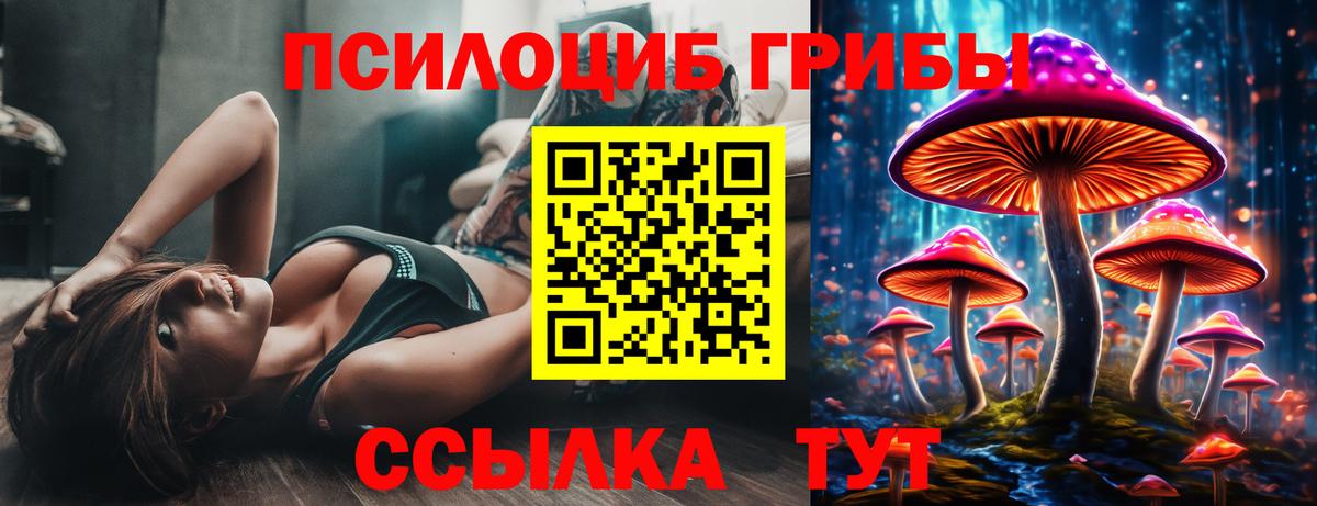 Галлюциногенные грибы Psilocybe  Заинск  Галлюциногенные грибы Psilocybe 