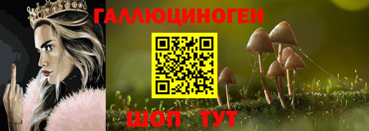 Псилоцибиновые грибы Psilocybine cubensis  Галлюциногенные грибы Cubensis  Вход с VPN  Заинск 